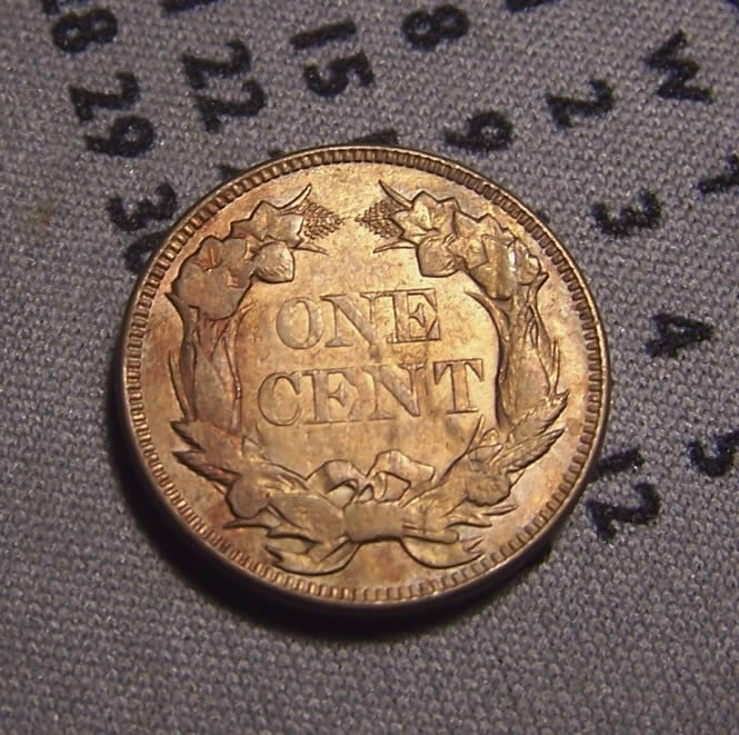 Another-Flying-Eagle-I-Had-To-Give-A-Home-To---1856-Obverse?
