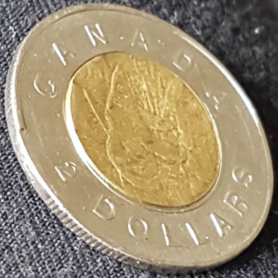 2006-Toonie---Is-It-An-Error?