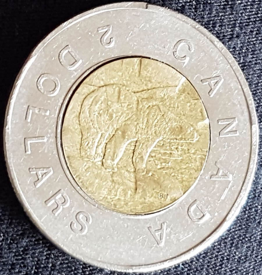 2006-Toonie---Is-It-An-Error?