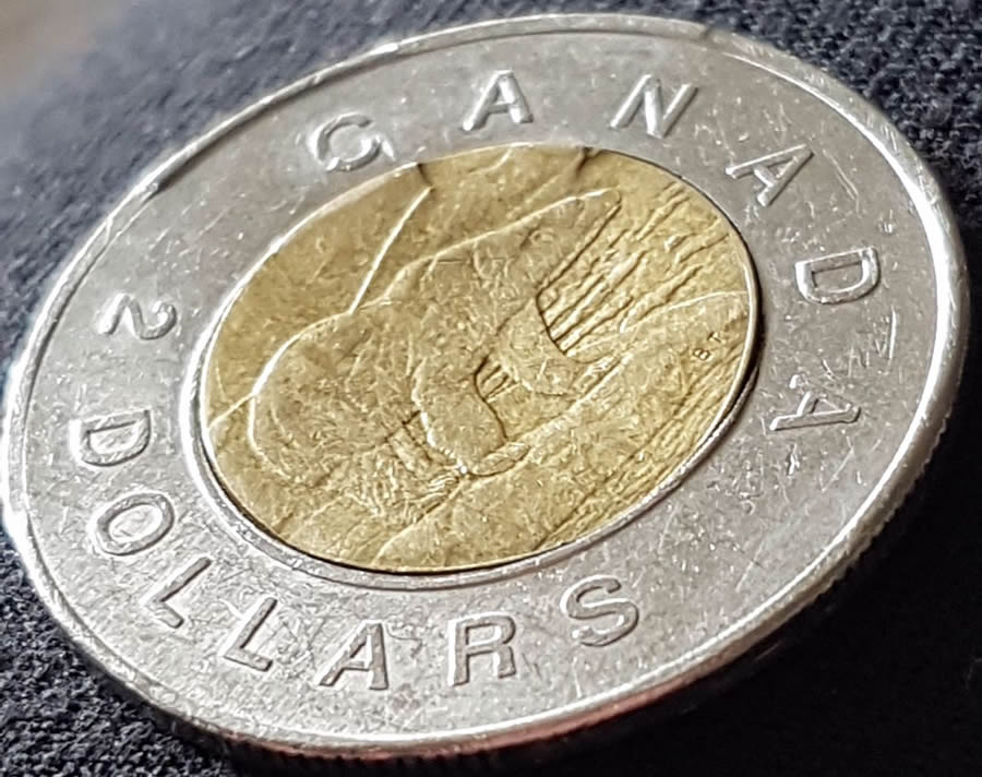 2006-Toonie---Is-It-An-Error?