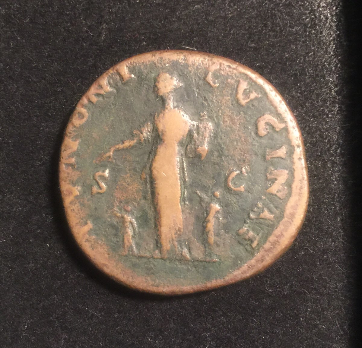 Whitman-Winter-Expo-Acquisitions!-Lots-Of-Pics...be-Warned