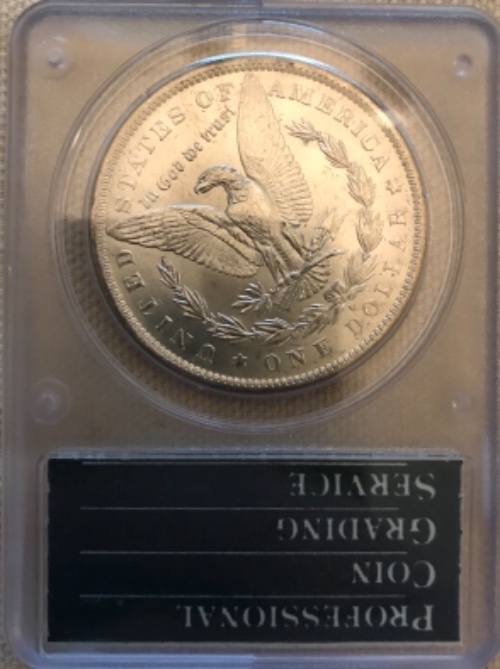 Vacation-Morgan-Dollar-Purchases
