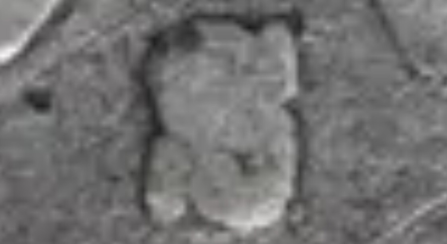 1896-S-Barber-Dime-Mintmark-Question