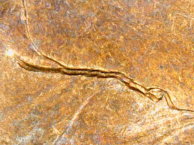 1979-1c-Obverse-Error?