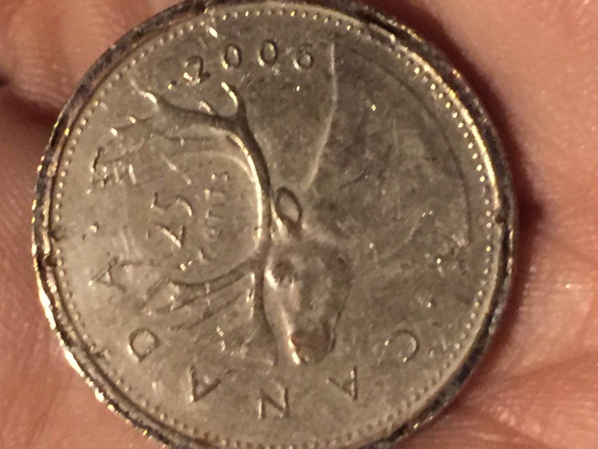 2006-Odd-Looking-Quarter