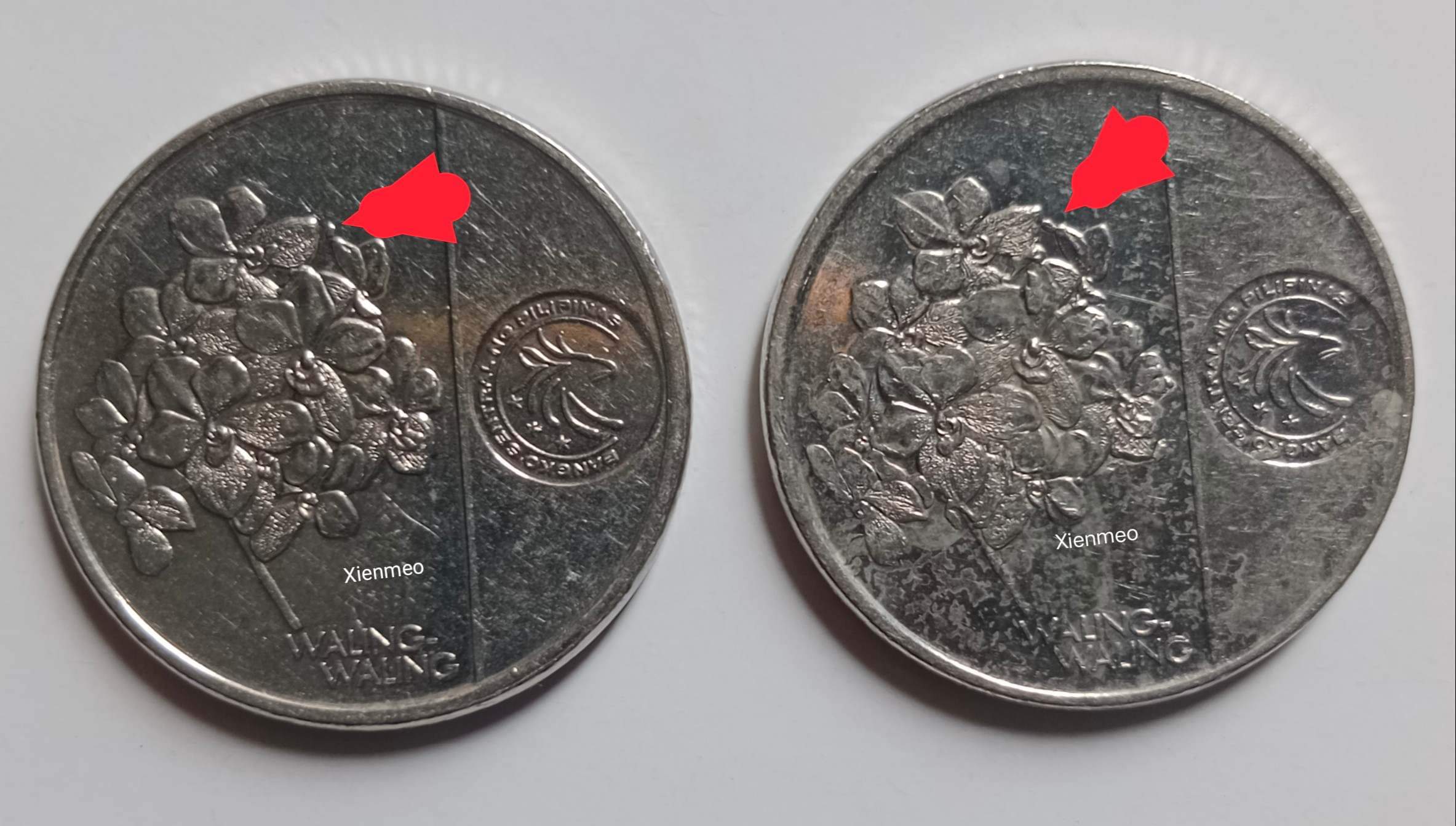Is-This-An-Error-Coin,-Thank-You,