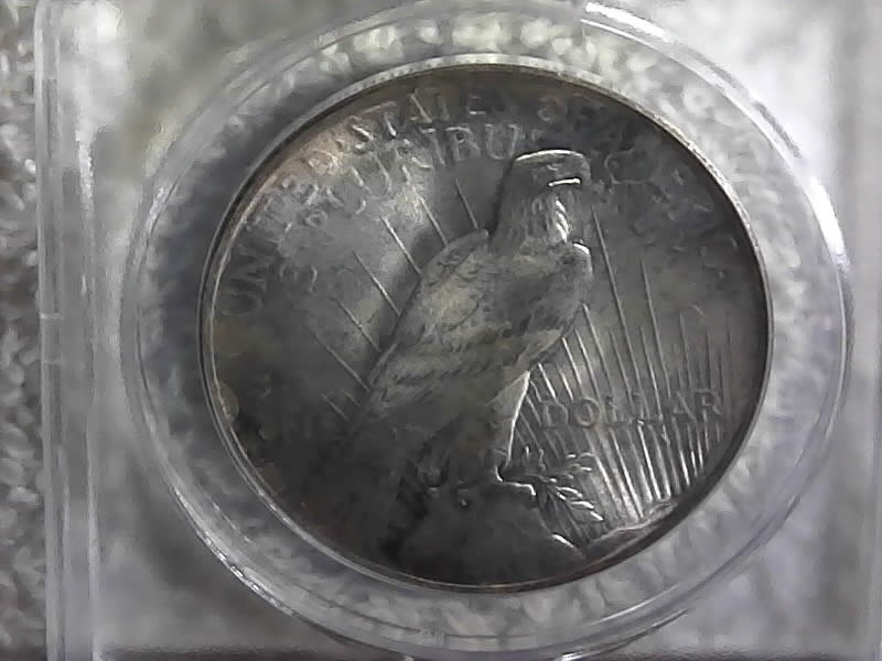 New-Collector-Would-Like-Some-Help-With-Peace-Dollar.
