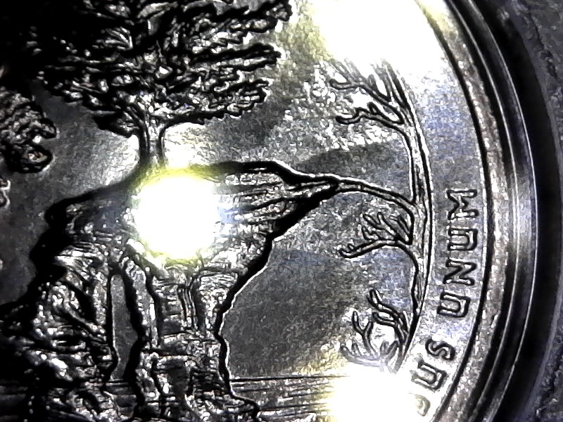 Is-This-Caused-By-Grease-Or-Worn-Dies?-Michigan-ATB-Quarter