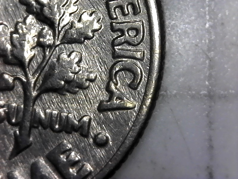 Dime-Time-For-Meow,-Odd-Shapes-In-Roosevelt.