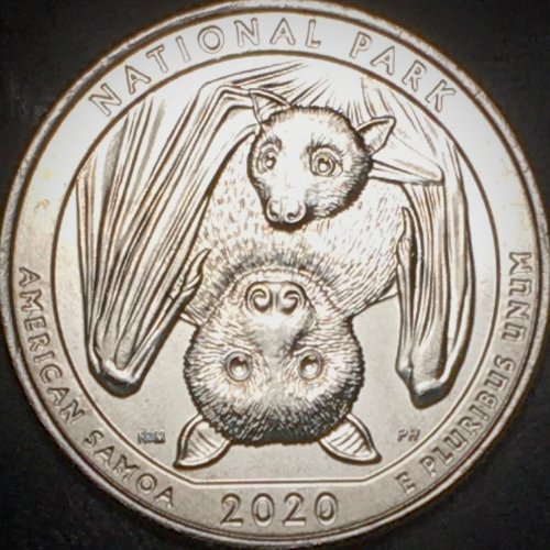 2020-D-American-Samoa-National-Park-Quarter-Die-Crack-Or-Something-Else?