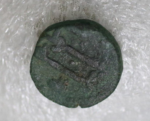Solved:-Three-Of-The-Same-Fals-Andalus?---ID-Needed