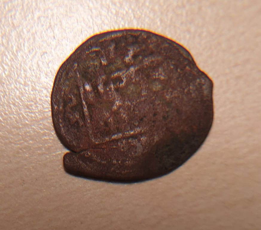 Unknown-Islamic-Coin-With-Animal?-Elephant/Horse