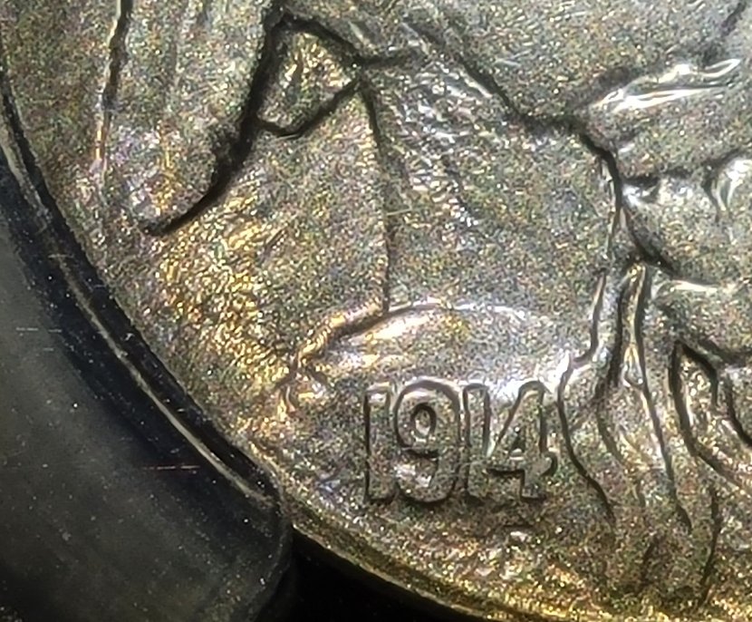 1914-P-Buffalo-Nickel-For-Grading