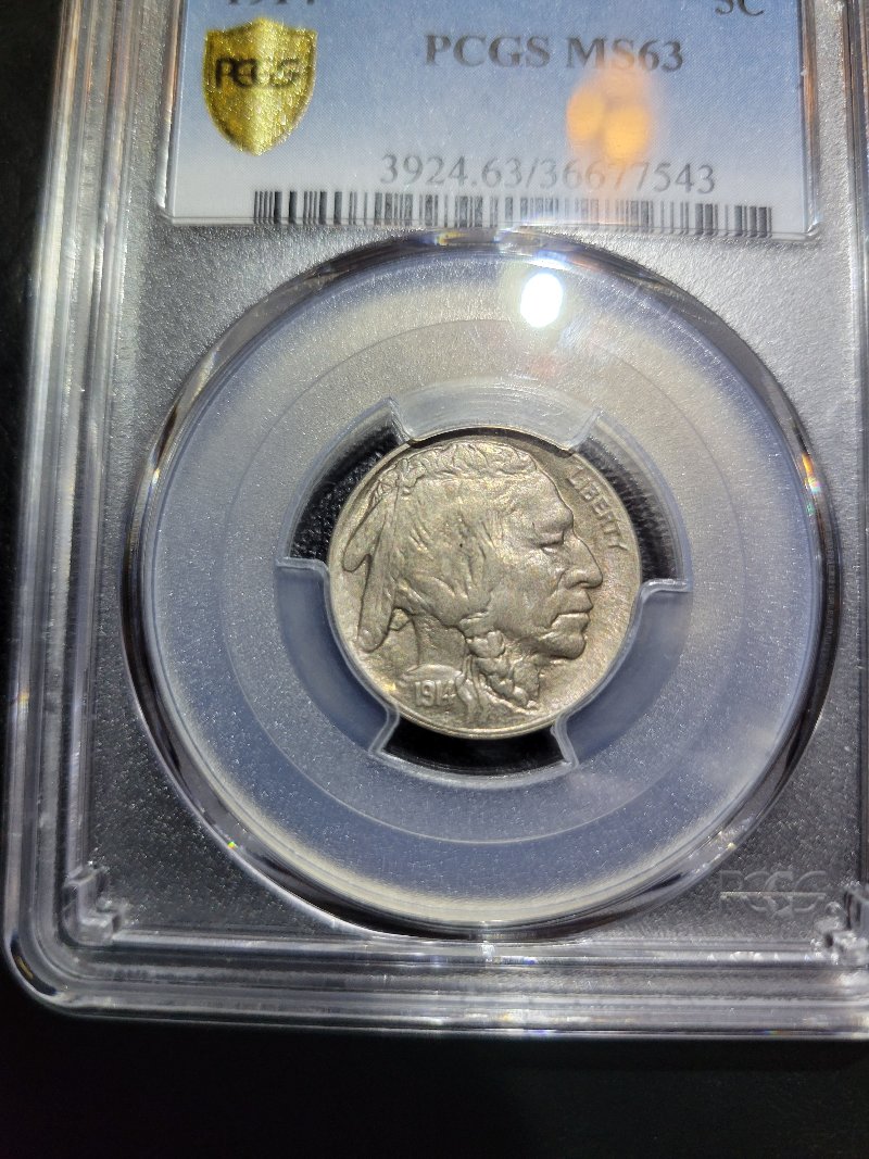 1914-P-Buffalo-Nickel-For-Grading