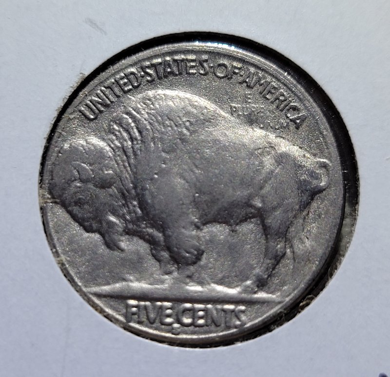 1919-S-Buffalo-Nickel-Recent-Acquisition---Return-Or-Not?