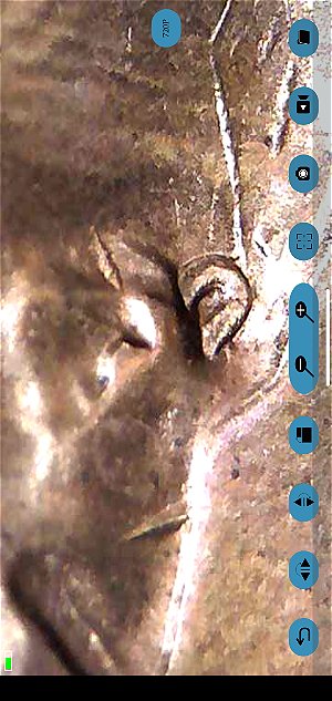 2009-Lincoln-Presidency-Cent--Eyebrow