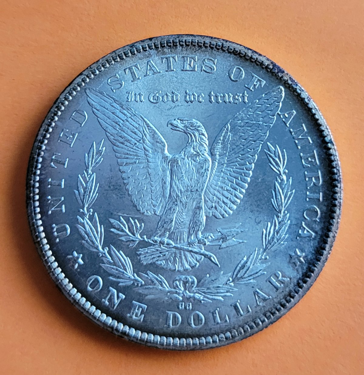 My-First-Morgan-CC--: