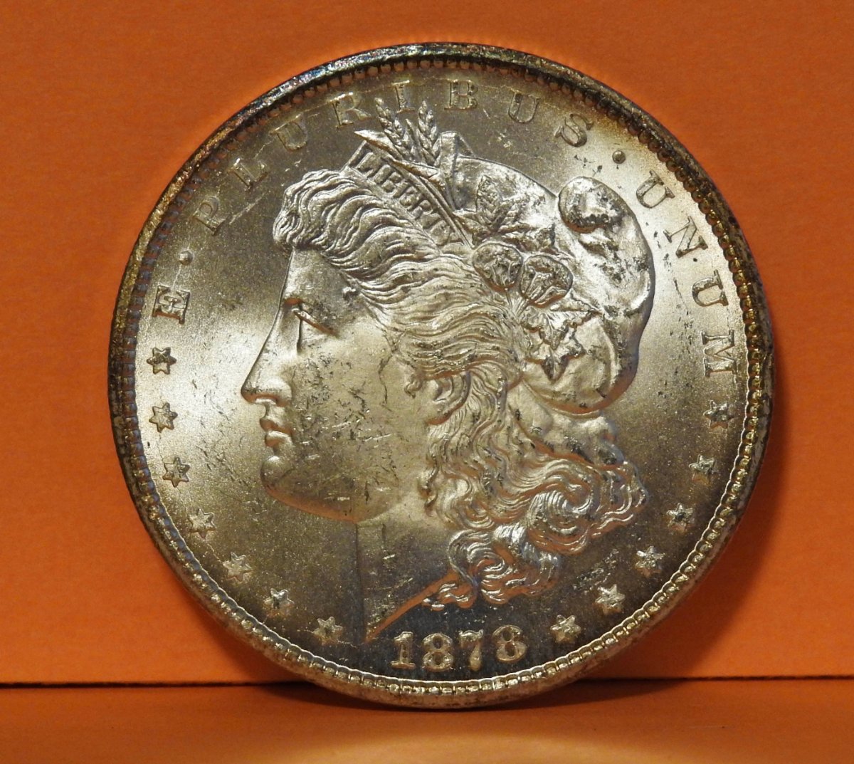 My-First-Morgan-CC--: