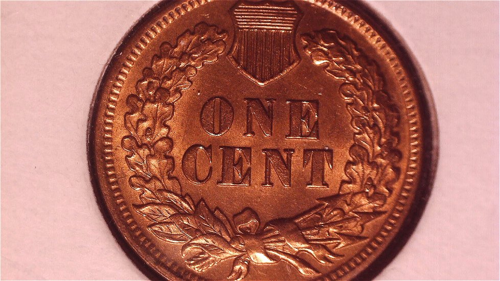 My-Buddy-Told-Me-He-Thinks-I-Have-A-Proof-Indian-Head-Penny