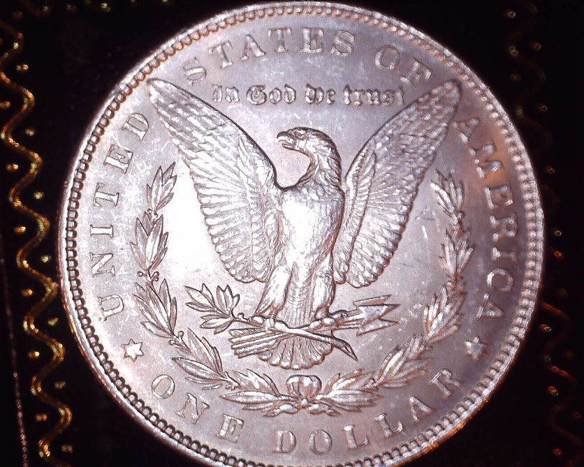 1899-Morgan-Dollar--Please-Help-Me-With-Grade