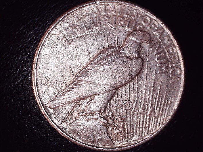 1934-D-Peace$1--Vam-3-Or-VAM-4-?-I'm�confused-A-Bit-Please-Help