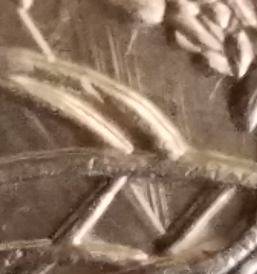 2020-D-Salt-River-Bay-Quarter-Forget-Finger-Lines?