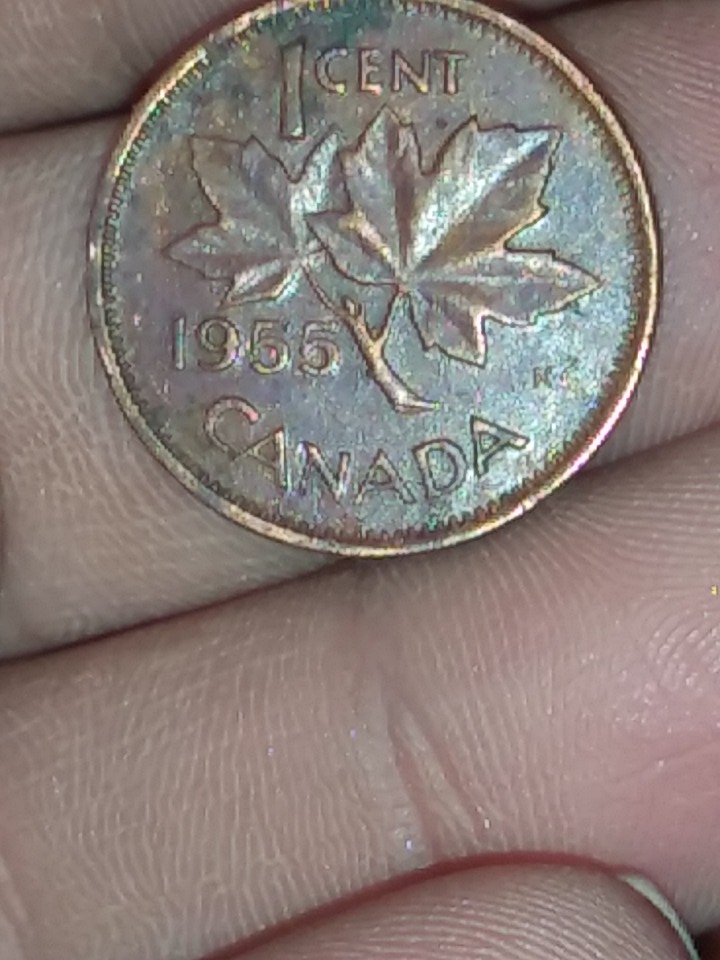 1955-Canadian-1-Cent-Coin-For-Grading