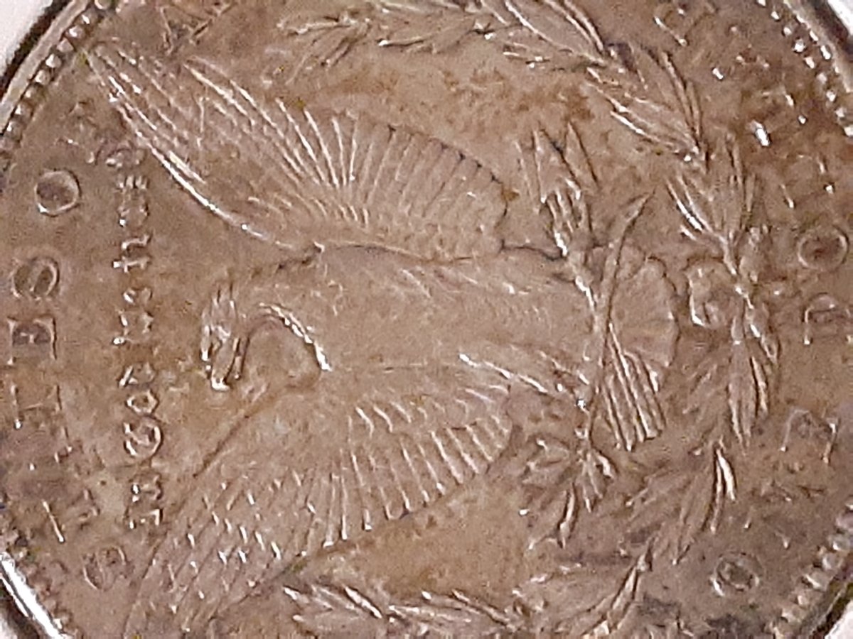 My-First-Morgan!-Can-Anyone-Identify-The-VAM?