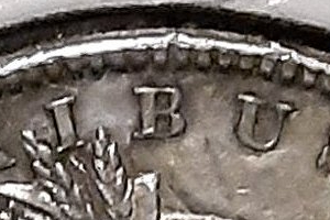 My-First-Morgan!-Can-Anyone-Identify-The-VAM?