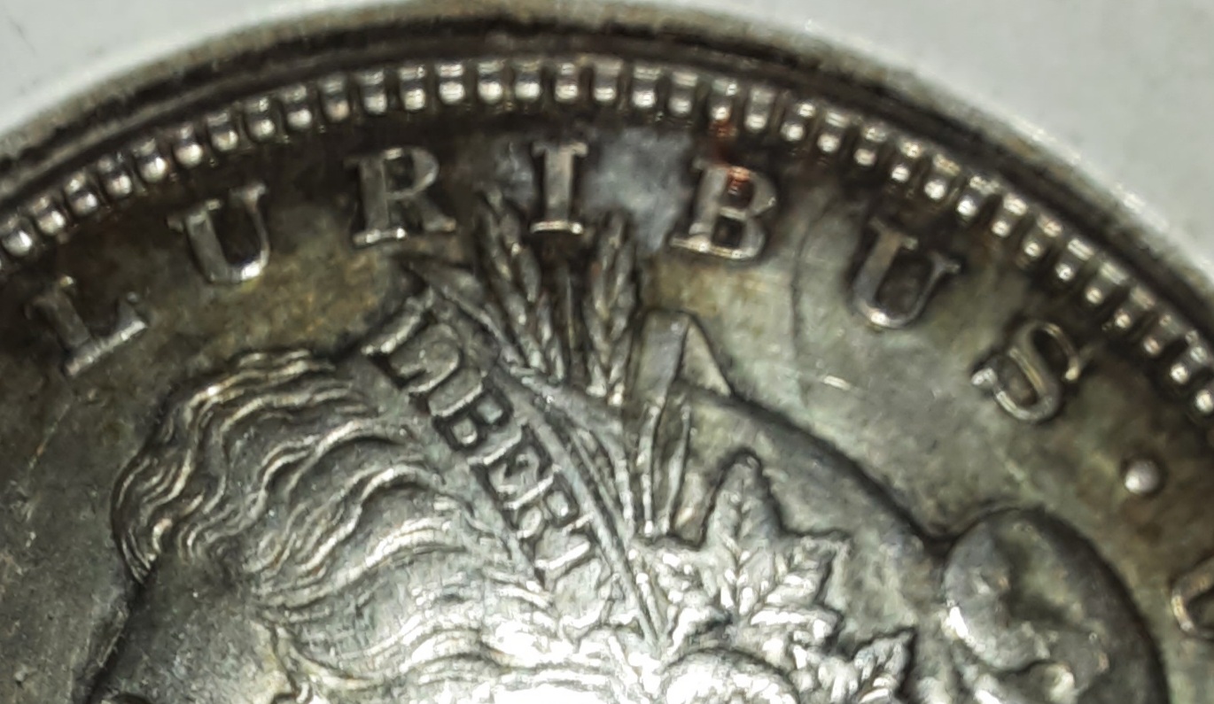 My-First-Morgan!-Can-Anyone-Identify-The-VAM?