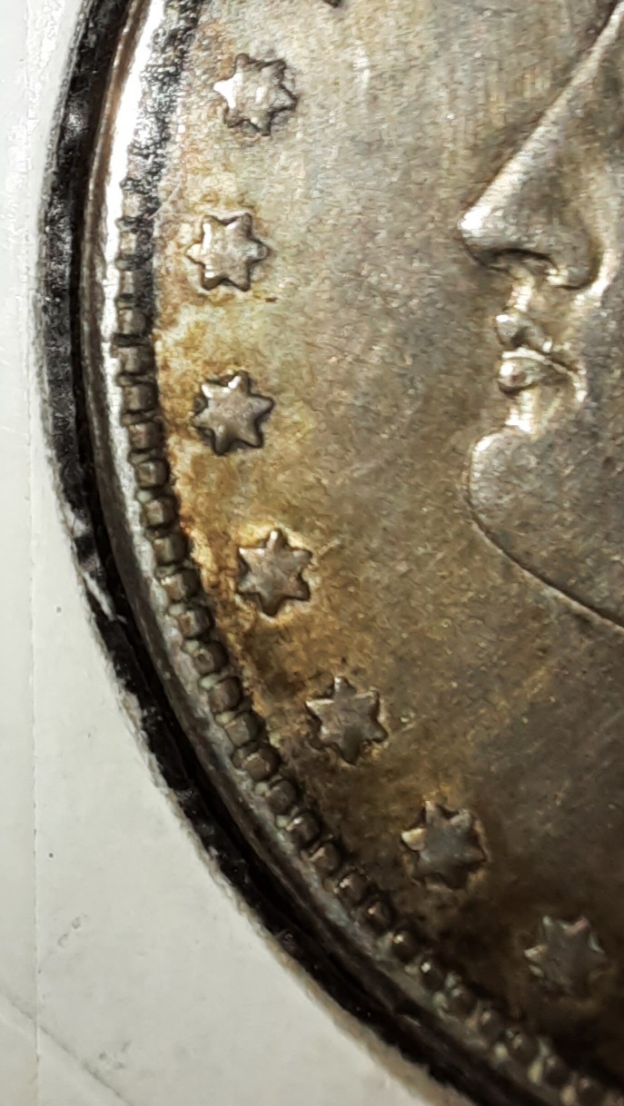 My-First-Morgan!-Can-Anyone-Identify-The-VAM?