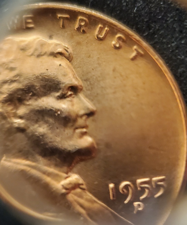 1955-D-LWC-With-Extra-Eyelid