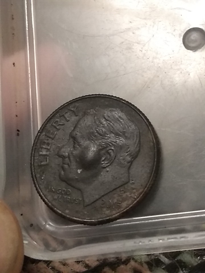2015-P-Dime-With-Odd-Coloring-And-Weird-Bubble?