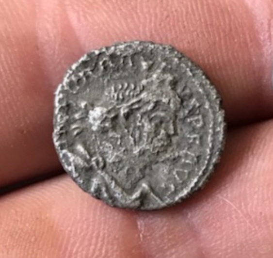 Help-With-A-Carausius