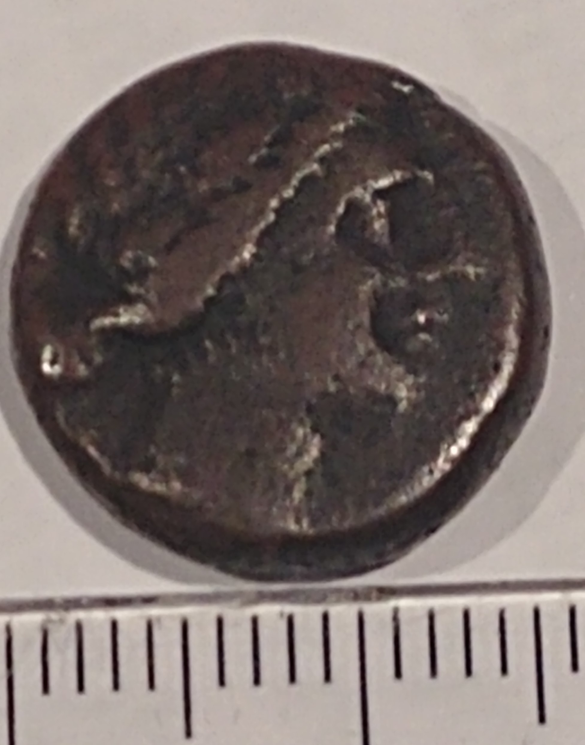 Help-To-Identify-Please!