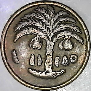 Unknown-Coin,-If-It-Is-One