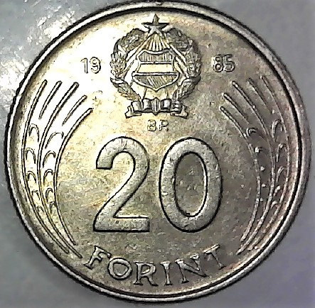 Post-Your-Coins-With-Hats