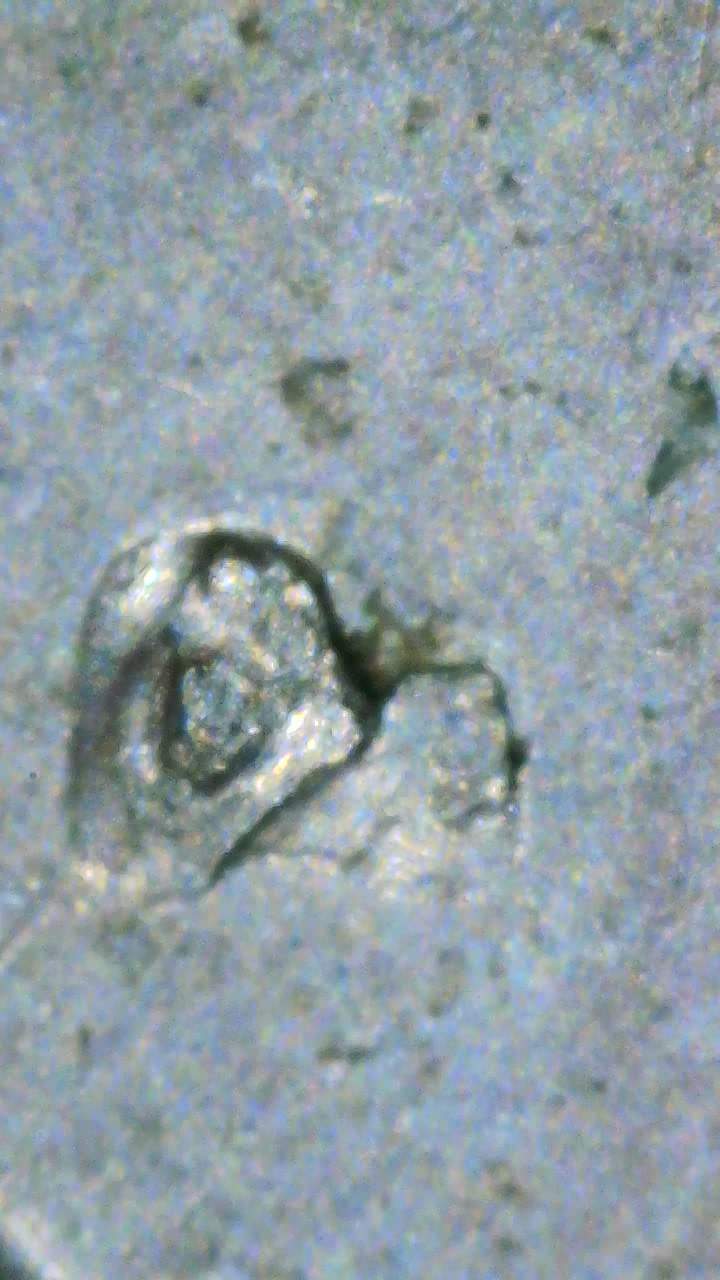 1982-Dime--Mint-Mark-Question