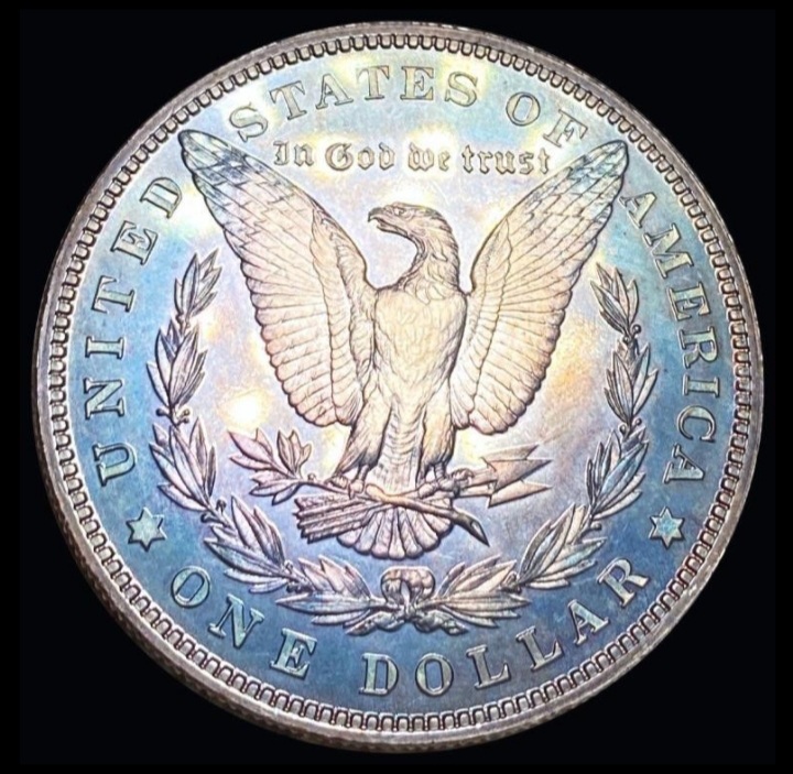Please-Help-Me-To-See-If-This-1901-Morgan-Real-Tonning