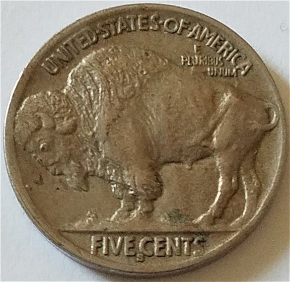 1913-S-Buffalo-Type-2-Error---Doubled-Profile