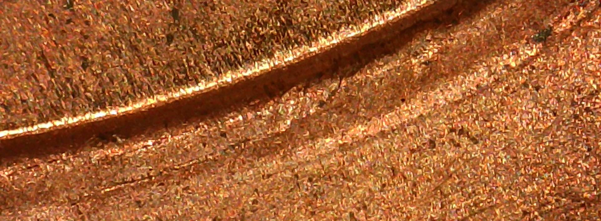 2021-D-Lincoln-Shield-Cent-DDR?