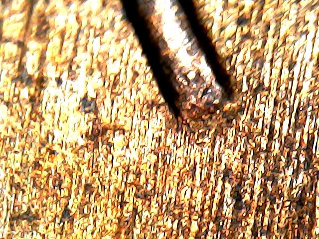 1969-S-Doubled-Die-And-1969-Doubled-Die-+machine-Doubling?
