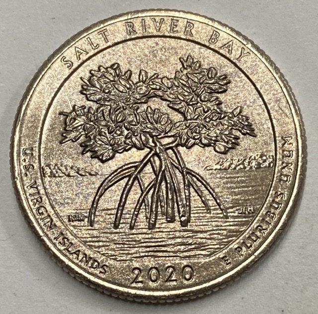 2020-D-Quarter---Salt-River-Bay---Odd-Coloration