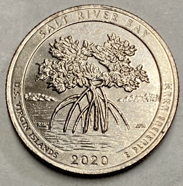 2020-D-Washington-Quarter---Salt-River-Bay---Error?