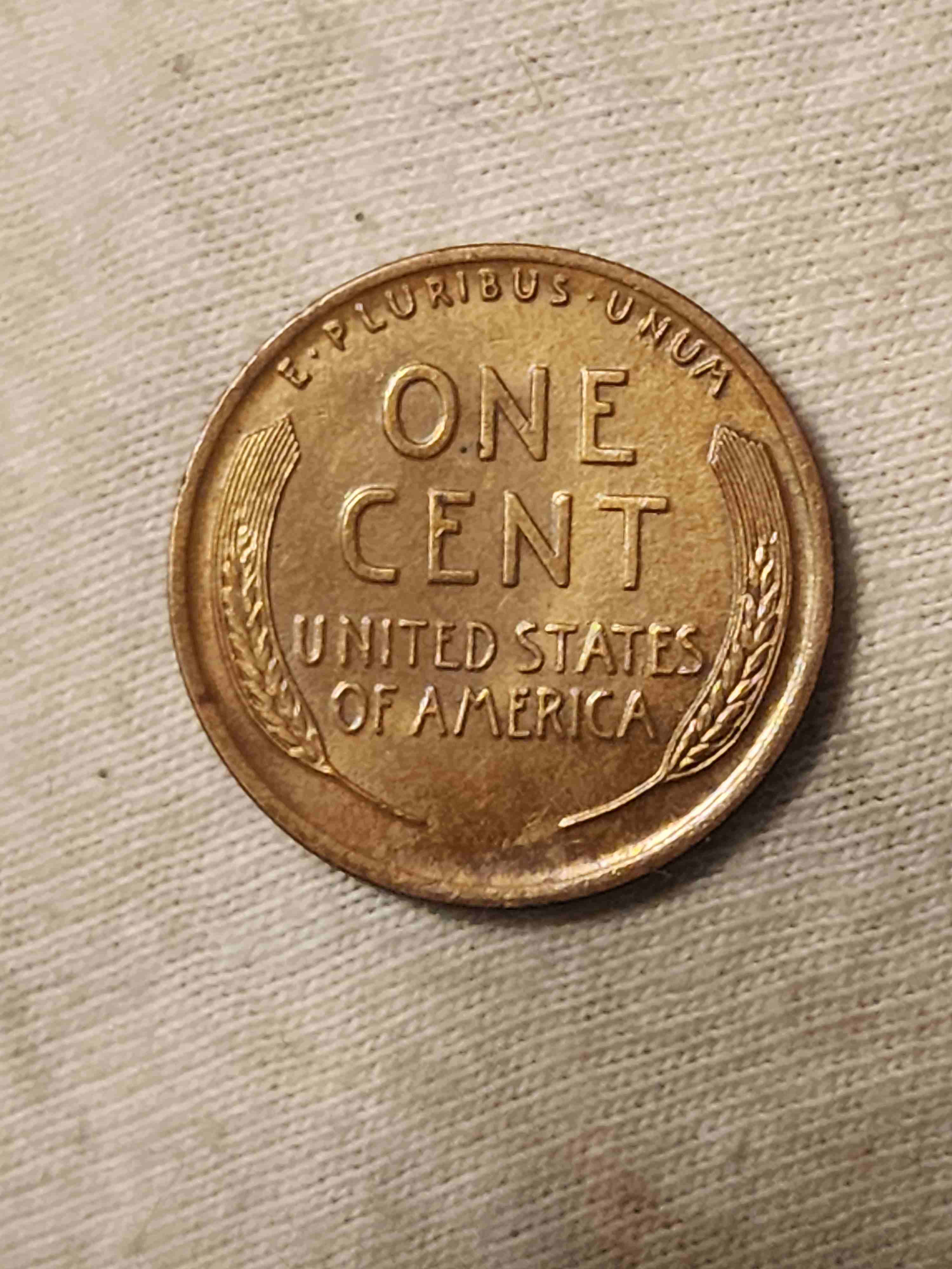 1917-P-LWC-What-Grade-Might-It-Get?