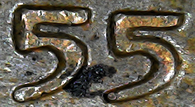 1955-Penny-DDO?-Thanks-For-Answers!