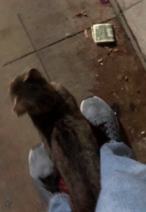 Post-Your-Stories-&-Pix-Of-Found-Money