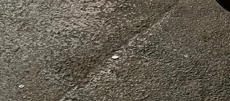 Post-Your-Stories-&-Pix-Of-Found-Money