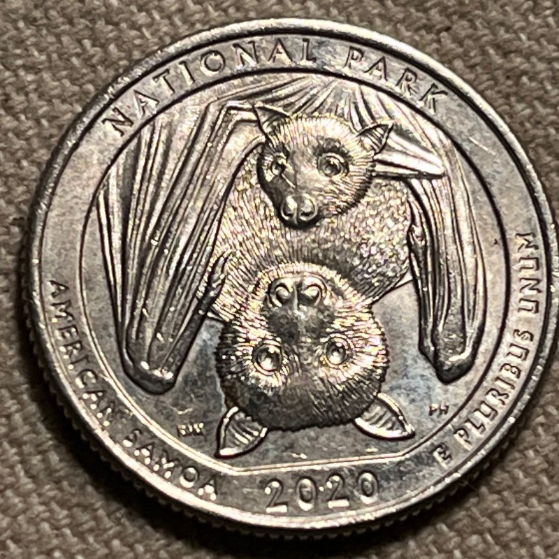 Post-Your-Stories-&-Pix-Of-Found-Money