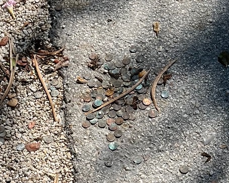Post-Your-Stories-&-Pix-Of-Found-Money